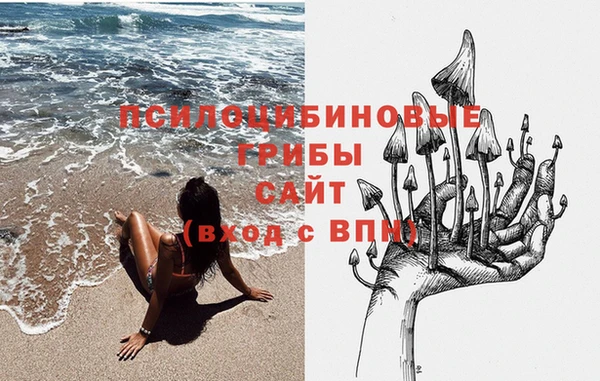 кокс Михайловск