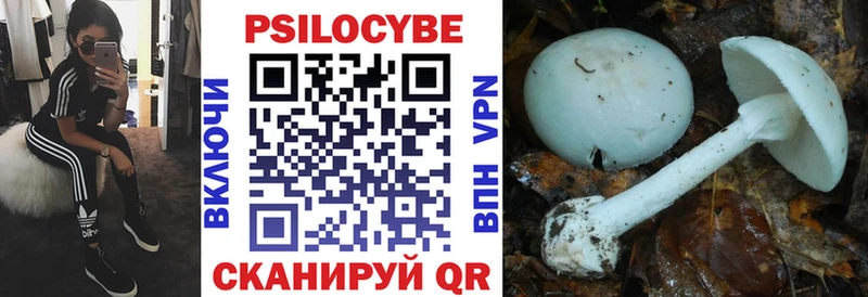 это телеграм  купить наркотики цена  Шиханы  Галлюциногенные грибы MAGIC MUSHROOMS 